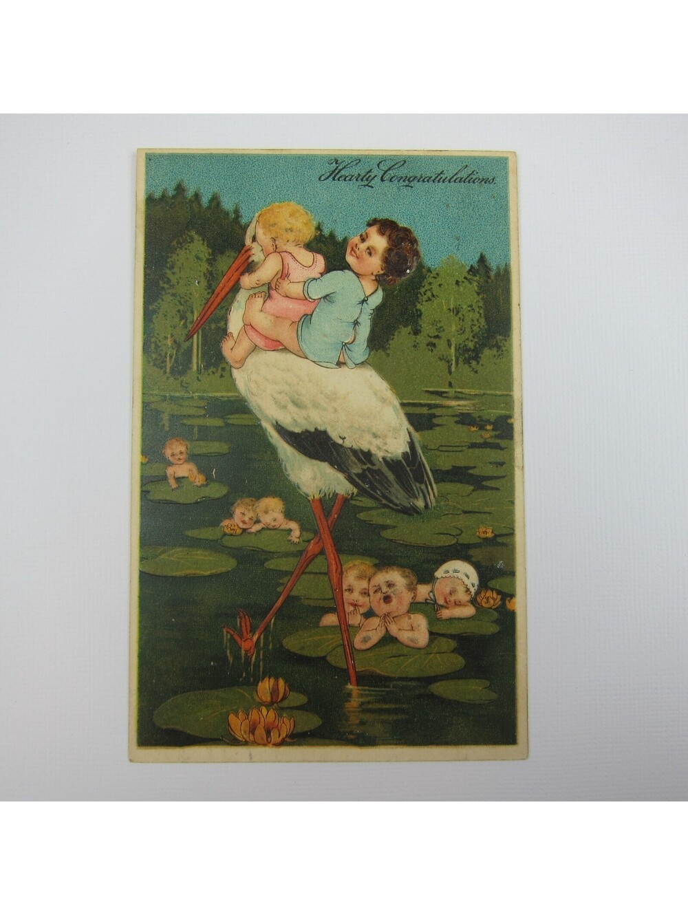 Postcard Birth Announcement Babies Stork Lily Pad Pond Antique 1909 Embossed